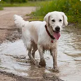 Mud