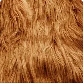 Fur