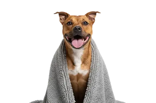 Doggy Dryer