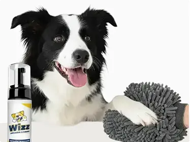Pat the Pet Dry